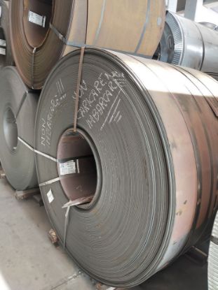 Immagine di 2006496556